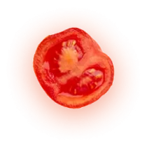 tomato tomato